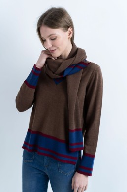 Jersey marrón Hongo con cuello pico azul y granate y bufanda