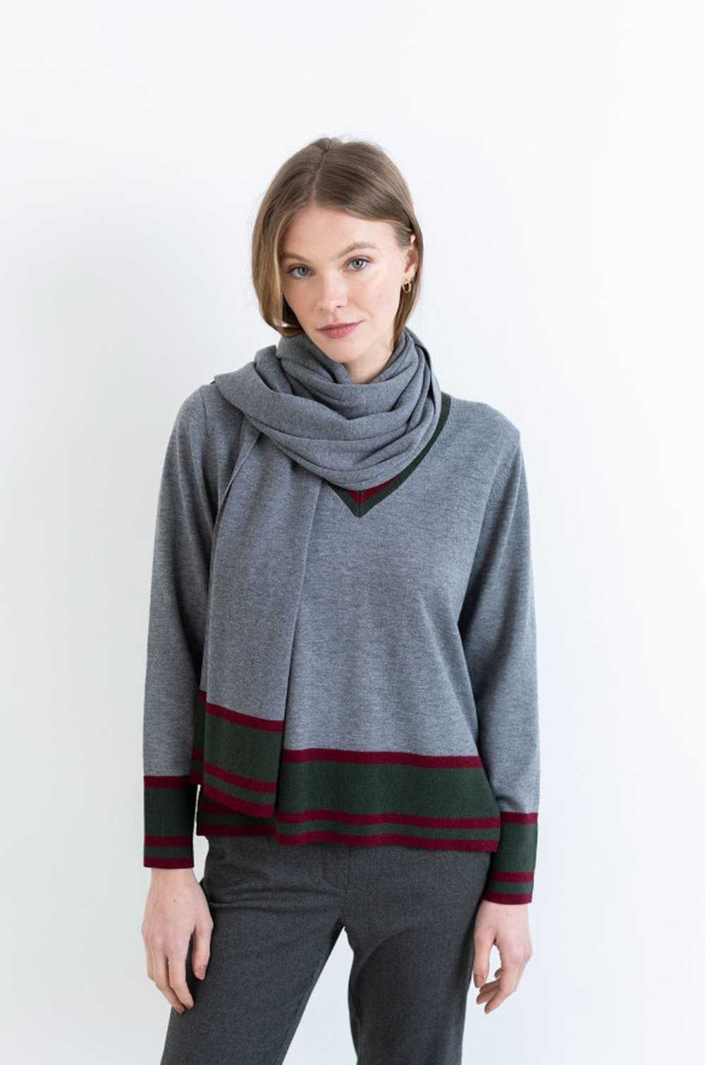 Hongo bufanda gris